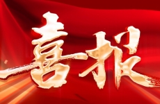 榮耀加冕！煙臺金正環保連獲多項大獎，行業影響力和技術實力再獲認可！