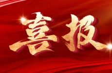 硬核品質+極速響應！金正環保十二月雙單連發創佳績！
